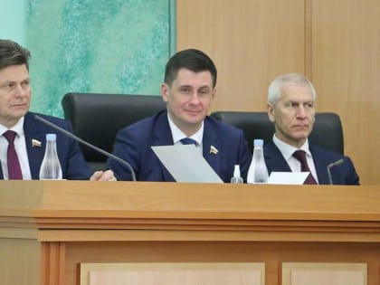 Брянские депутаты обрезали себе возможности