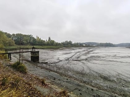 Экологическая катастрофа в Брянске: ущерб от гибели рыбы превысил 1 миллион рублей