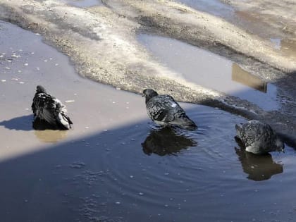 Синоптики рассказали о погоде накануне весны