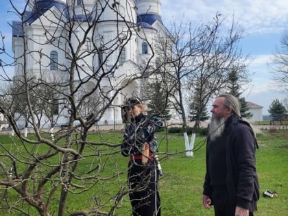 Волонтеры из Беларуси и России выполнили художественную обрезку монастырских деревьев в Свенской Успенской мужской обители