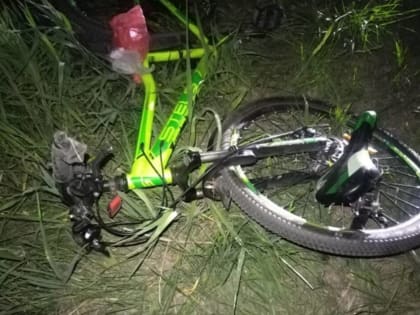 Под Брянском 37-летний водитель покалечил велосипедиста
