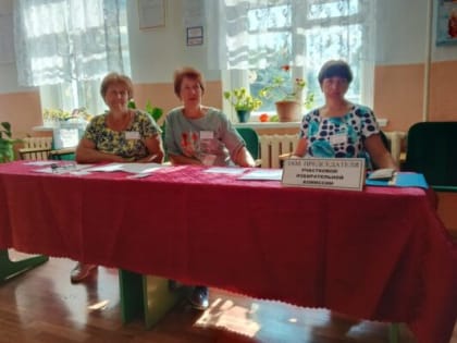 В Чемлыже проходят дополнительные выборы депутата Чемлыжского сельского Совета