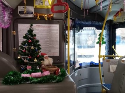В Брянске водители автобусов включились в новогодний флешмоб