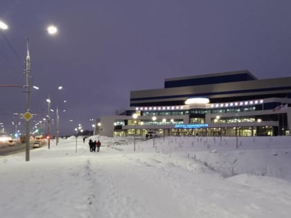 В Брянске Дворец единоборств будут охранять в этом году почти за 19 млн рублей