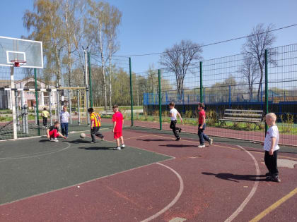 Мы за чистое село