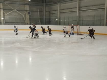 В Стародубе скрестили клюшки брянские и гомельские хоккеисты