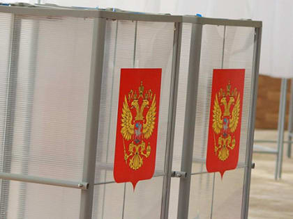 В Брянской области проходят выборы депутатов 4 сельских советов