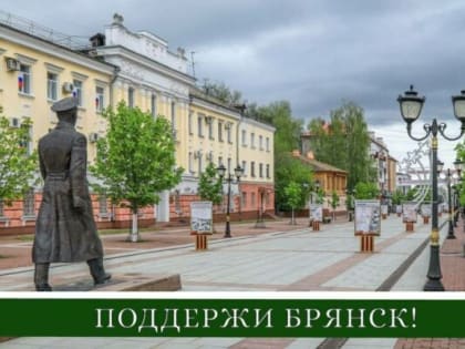 Брянцев просят проголосовать в конкурсе «Город России-2023»