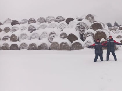 Молодые агрономы «Мираторга» предпочитают работу на селе