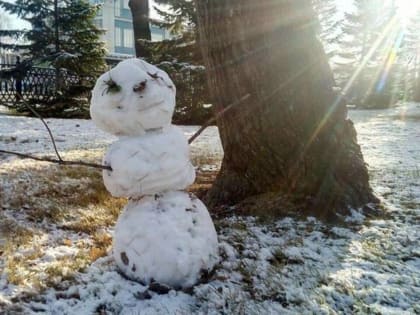 Брянцев 2 января ожидает аномальное для зимы тепло