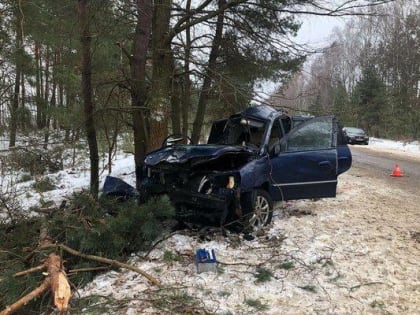 Молодой водитель угробил под Новозыбковом двух возрастных пассажиров