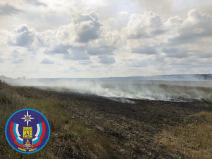 В Брянской области поймали поджигателя