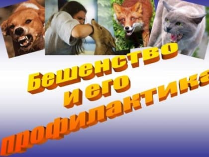 В Стародубском округе проходит месячник по профилактике бешенства