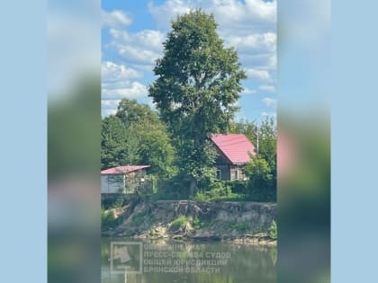 Муниципальные предприятия Брянска заявили, что не намерены исполнять решения суда, апелляционная инстанция потребовала от них подчинения закону