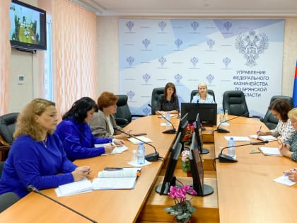 Участие УФК по Брянской области в совещании Управления бюджетного учета и отчетности Федерального казначейства