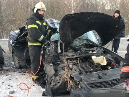 На брянской дороге в столкновении двух автомобилей погибли мать и дочь