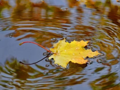 ГИМС МЧС: Осенние воды таят в себе опасность!