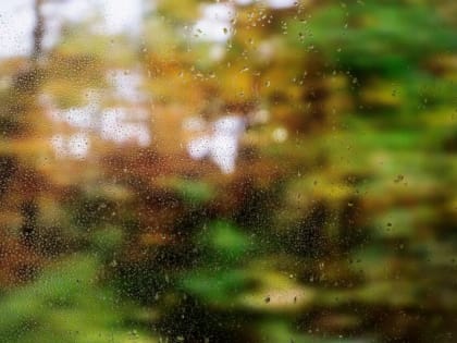 Брянцам пообещали дождь и до 17 градусов тепла в воскресенье