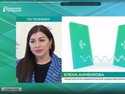 По итогам второго дня на Брянщине явка на выборах Президента составила почти 69 процентов