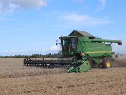 В Севском районе уже намолотили 88,3 тысячи тонн зерна