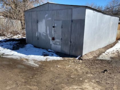 Ребенок погиб после нападения стаи бездомных собак
