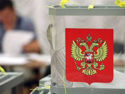 В Брянске избирком подвёл предварительные итоги дополнительных выборов в областную думу