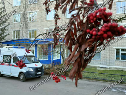 После сентябрьского роста заболеваемость ОРВИ в Новозыбкове снизилась