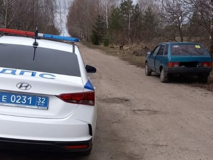 В Трубчевске пьяную автомобилистку без водительских прав арестовали на 10 суток