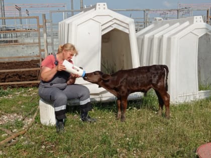 Человеческий фактор агрохолдинга «Мираторг»