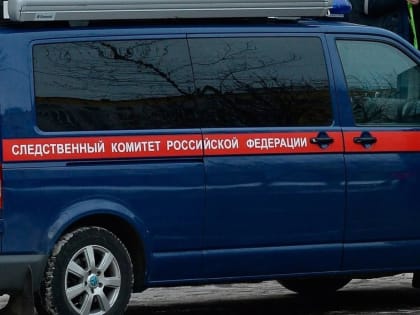 Сотрудники брянской полиции в течение суток установили личность матери погибшего младенца