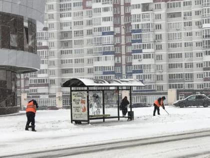 В Брянской области на Рождество похолодает до 15 градусов мороза