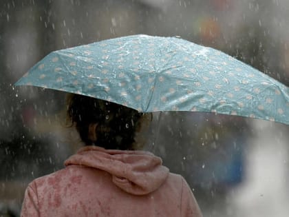 В Брянской области предвещают 17 мая дождливую и ветреную погоду