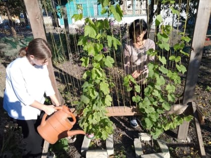 "Благо твори"