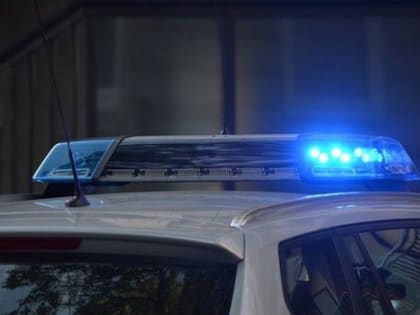 Более 550 брянских полицейских охраняли порядок в первый день нового года