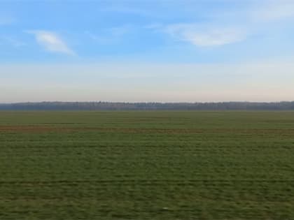 Жуковские аграрии завершили сев озимых