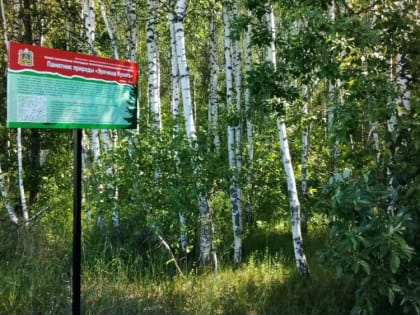 В Брянской области установили информационные щиты на особо охраняемых землях