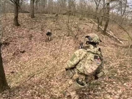 Появились новые подробности боя с украинскими диверсантами в брянском селе Случевск