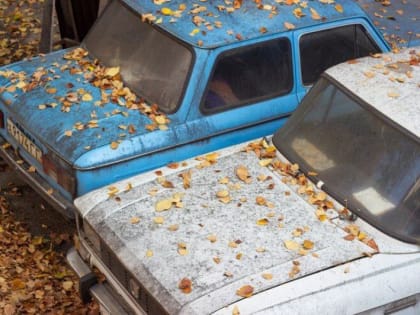 Макарову поручили собирать автохлам в Брянске