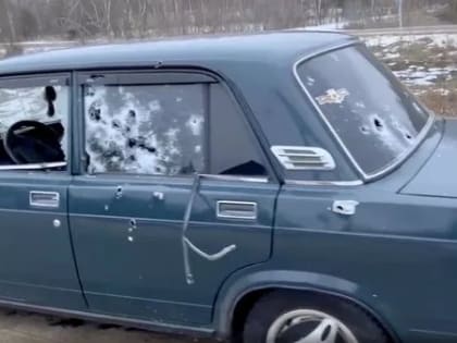 Н.Л. Кочегарова: Бои неместного значения