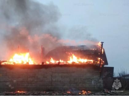 В Навлинском районе горели дом и гараж