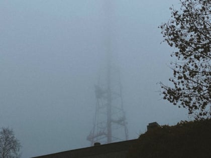 Брянцев в субботу ждут дожди и туман