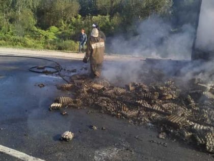 Под Брянском сгорела фура с яйцами