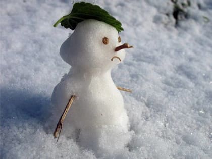 В Брянской области 25 февраля выпадут дождь и снег