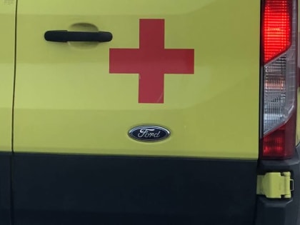 В Навлинском районе 42-летний водитель Skoda съехал в кювет и ранил 64-летнюю пассажирку