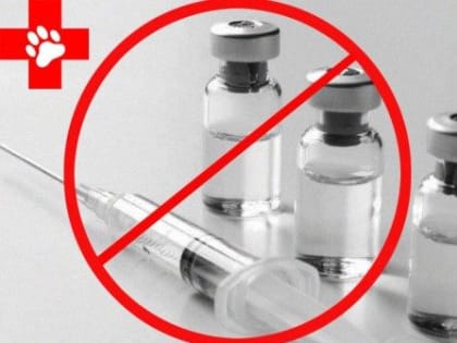 Россельхознадзором приостановлена реализации серии лекарственного препарата для ветеринарного применения «Анальгин 30%»