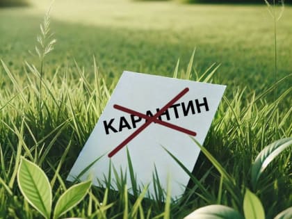 В Брянской области сняли почти трёхлетний карантин по лейкозу скота