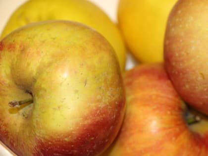 В Брянской области уничтожили 20 тонн яблок из Польши