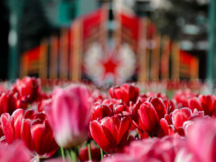 Брянск активно готовится к празднованию Дня Победы