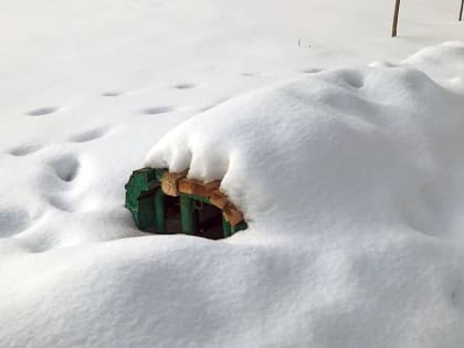 12 февраля на территории Брянской области ожидается сильный снег