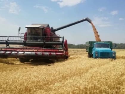 Уборочная кампания в Брянской области: актуальные итоги и перспективы